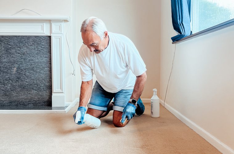 Antibacterial carpet disinfecting