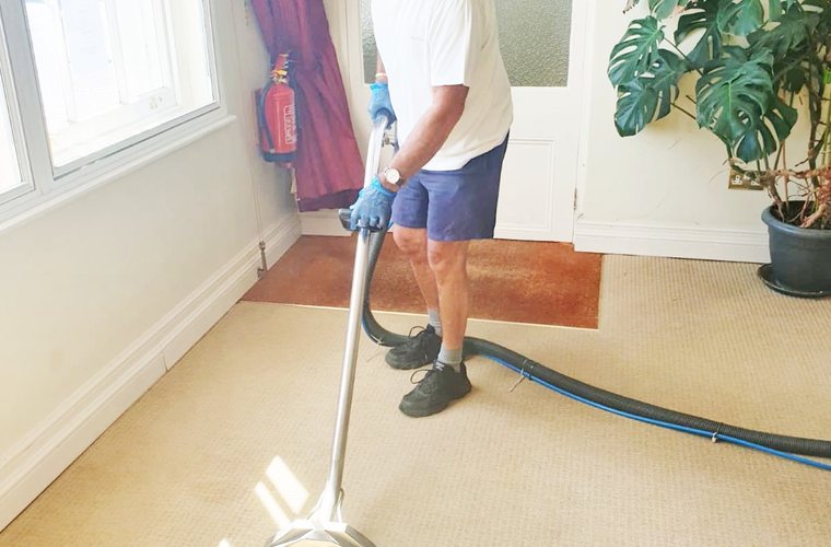 Pet-friendly carpet stain and odour treatment